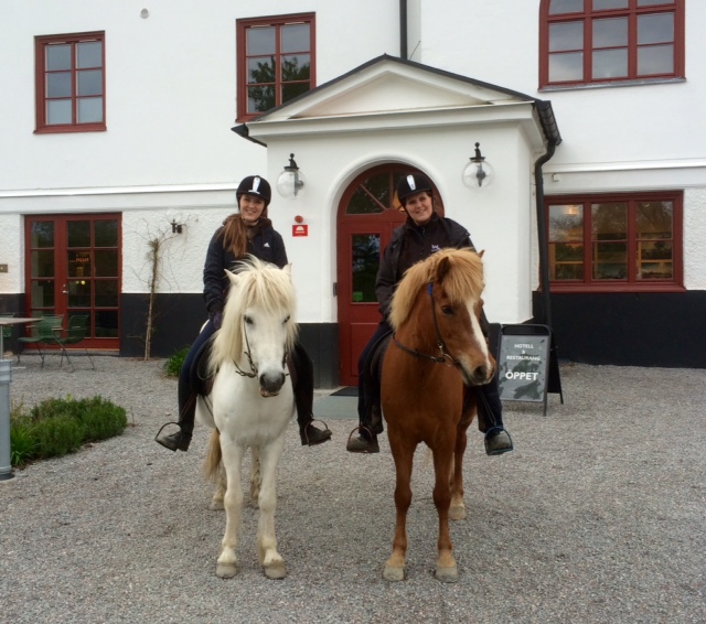 Islandshäst framför Anstalt, Wengarn