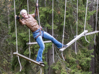 Accrobranches, Höga länken