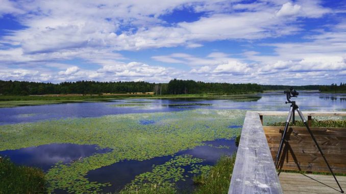 Hansta et Järvafältet