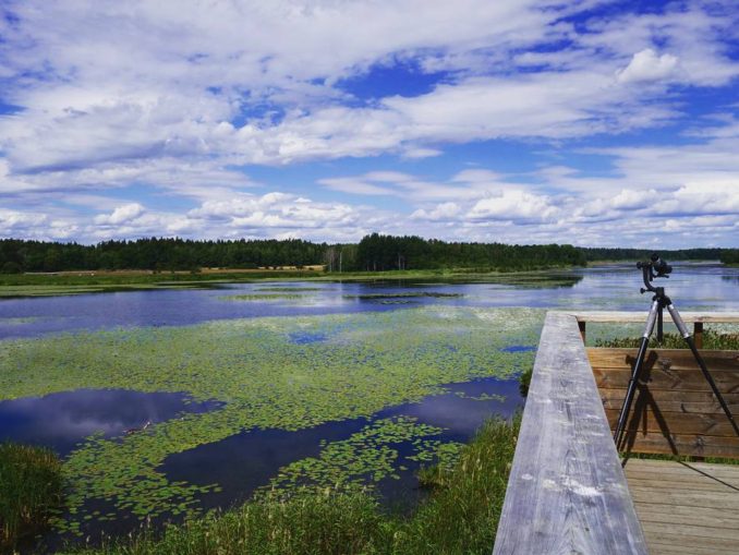 Hansta et Järvafältet