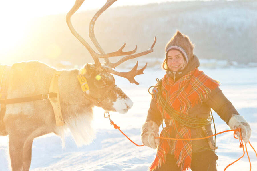 Une femme sami et un renne