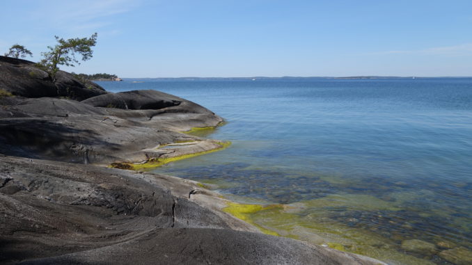 Utö