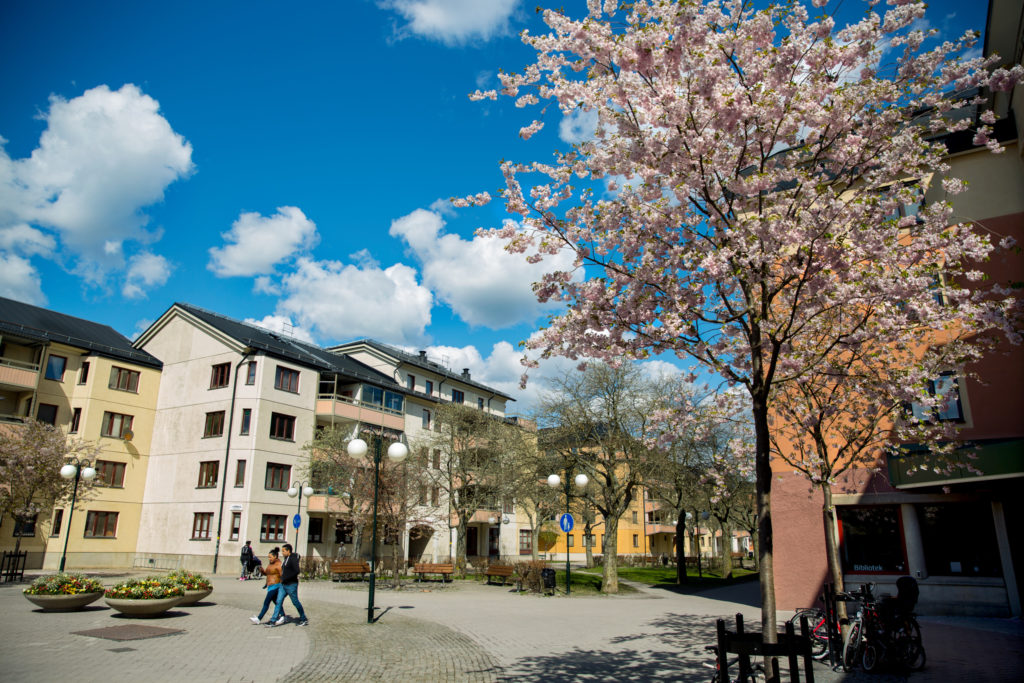 Banlieue de Stockholm, Enskededalen