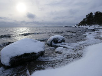 Strandvägen och Lövhagen