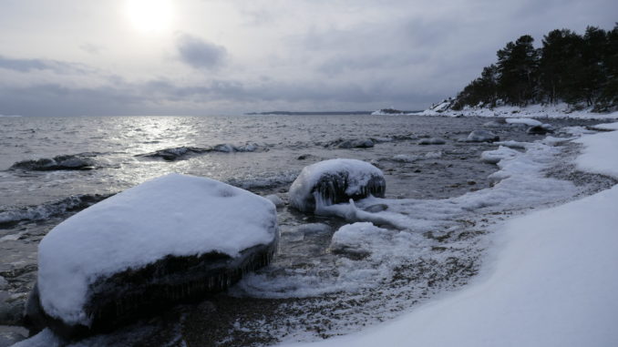 Strandvägen och Lövhagen