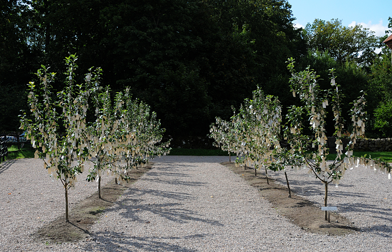 Wish Tree de Yoko Ono