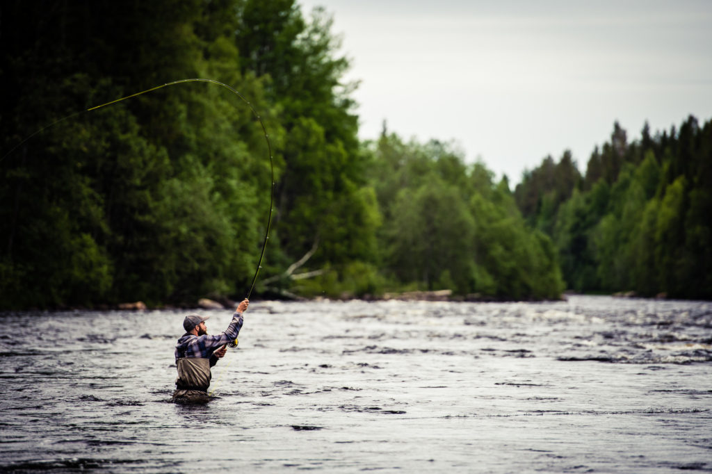 Pêche au saumon