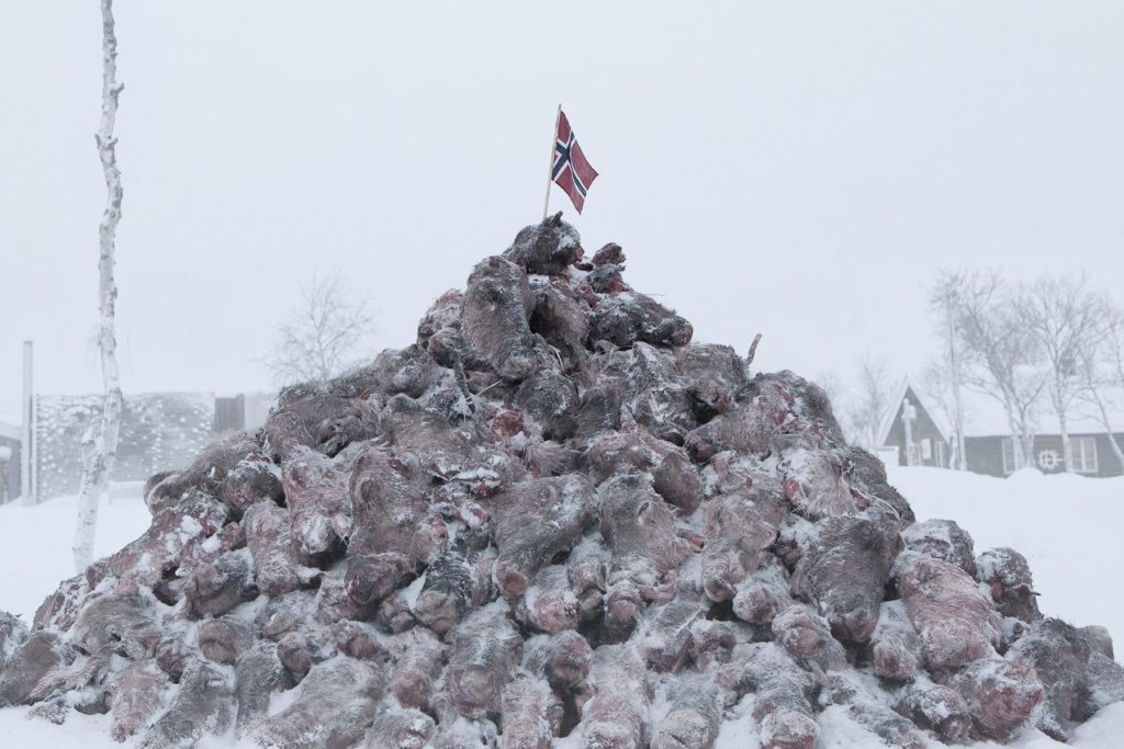 Pile o'Sápmi