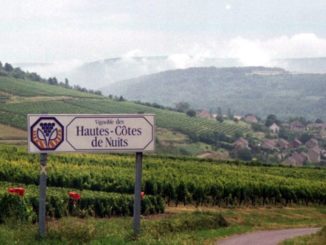 Vignoble des Hautes-Côtes de Nuits