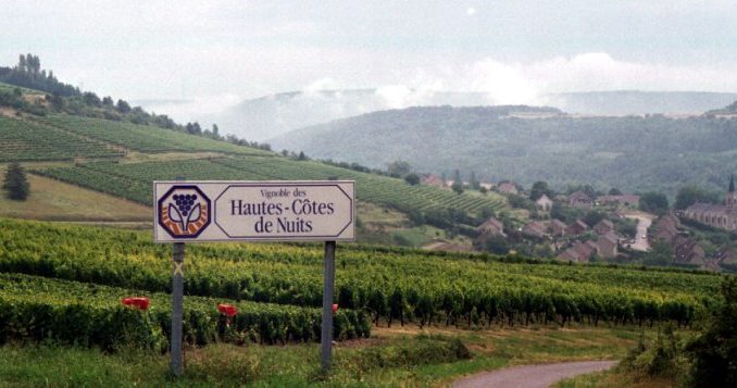 Vignoble des Hautes-Côtes de Nuits