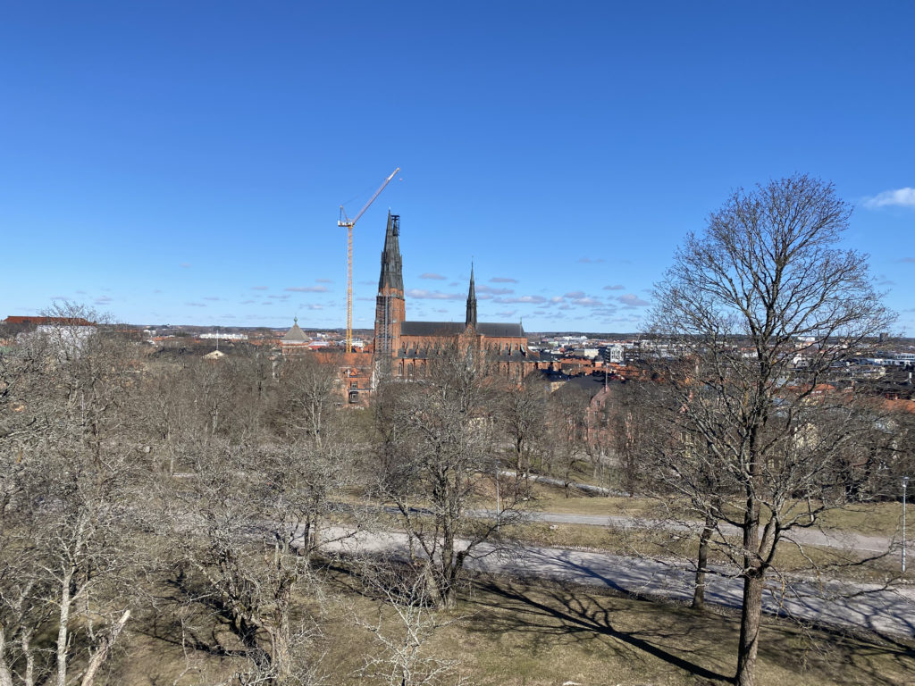 Uppsala domkyrka