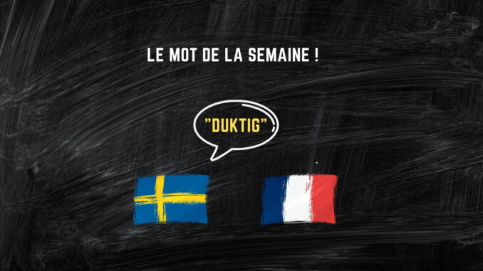 le mot de la semaine duktig