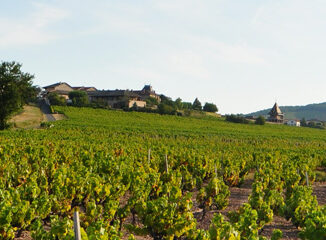 Terroir Domaines Rottiers