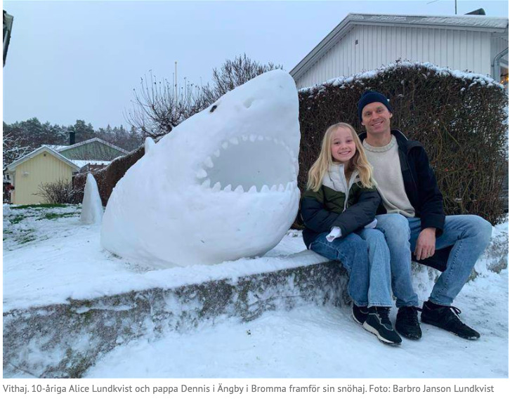 Requin blanc réalisé par Alice et Dennis Lundkvist