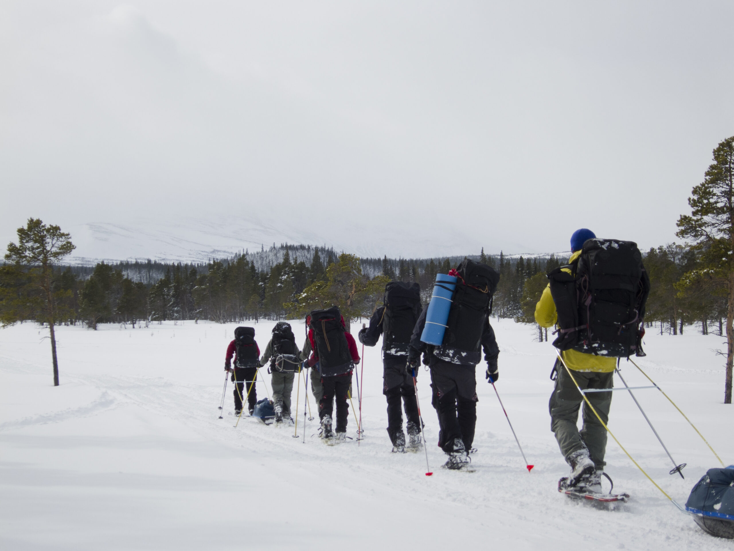 Randonnée en ski