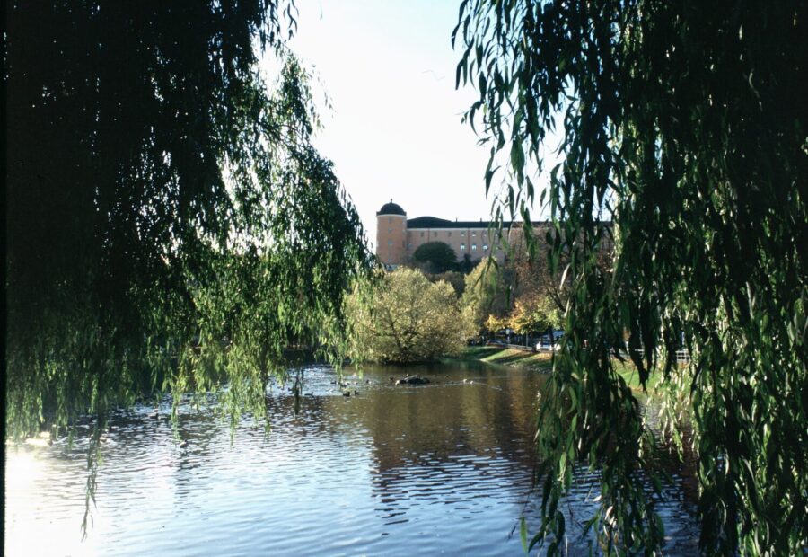 Uppsala tadsträdgården